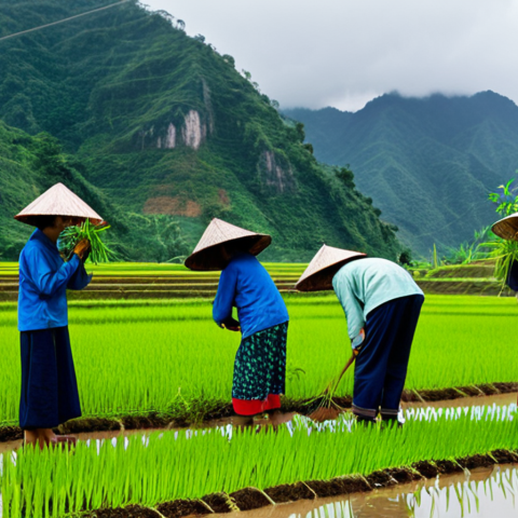 **
"A group of Vietnamese villagers, fully clothed in traditional Ao Ba Ba, are planting saplings on a terraced rice paddy field in the highlands. Lush green mountains in the background. Overcast sky. Safe for work, appropriate content, family-friendly, professional photography, perfect anatomy, natural proportions, well-formed hands. The image should evoke a sense of community and environmental stewardship."
**