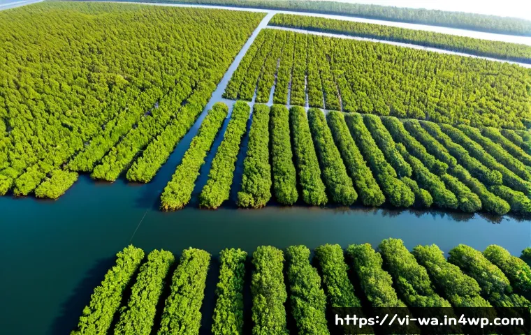 Home 17 탄소 격리 식재의 데이터 기반 의사결정 - Photorealistic aerial view of a climate-smart mangrove restoration site in coastal Vietnam, young ma...